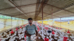 poultry-farming-loan-scheme-2024